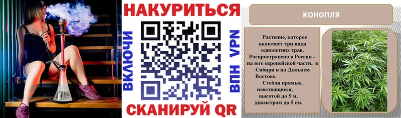 Конопля сатива Долгопрудный